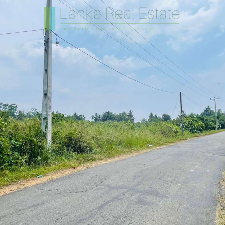 Elevated land overlooking own paddy fields