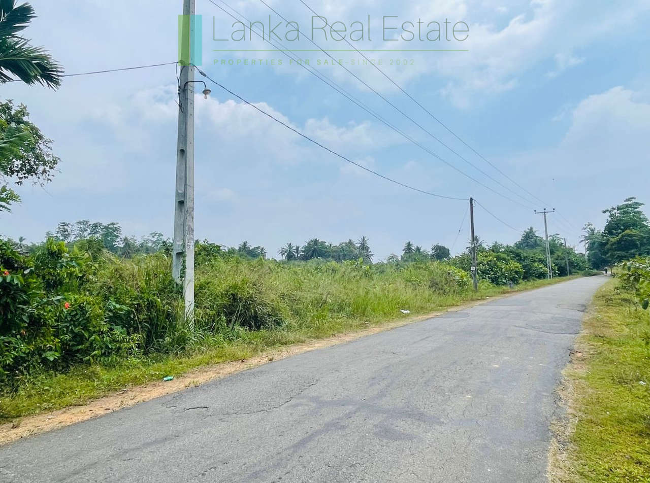Elevated land overlooking own paddy fields