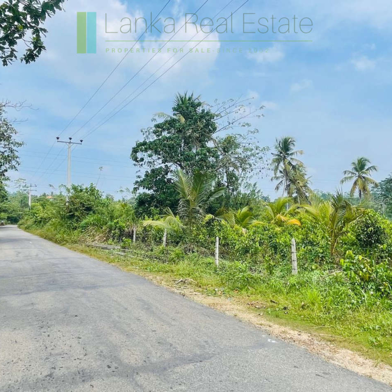 Elevated land overlooking own paddy fields