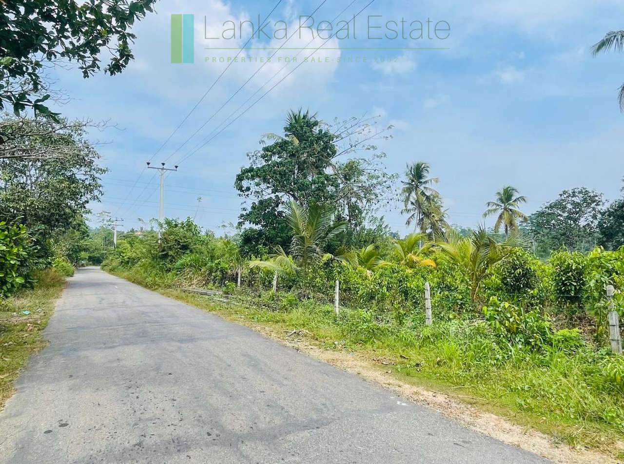 Elevated land overlooking own paddy fields