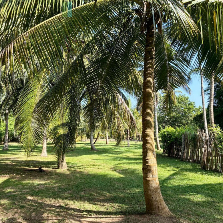 Immaculately renovated Walawwa near Tangalle