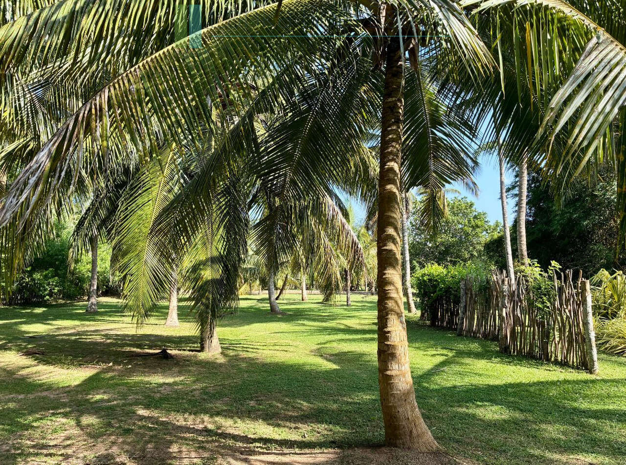 Immaculately renovated Walawwa near Tangalle