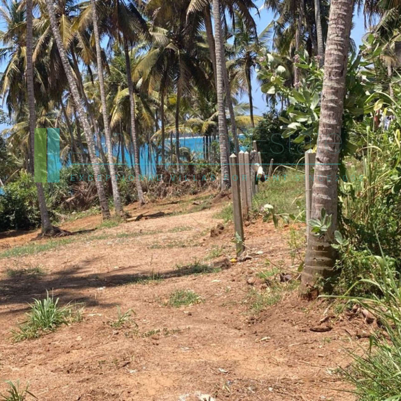 Ocean-view plot in Hiriketiya