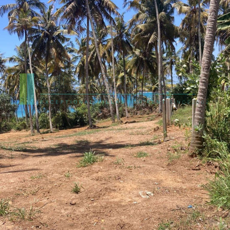 Ocean-view plot in Hiriketiya
