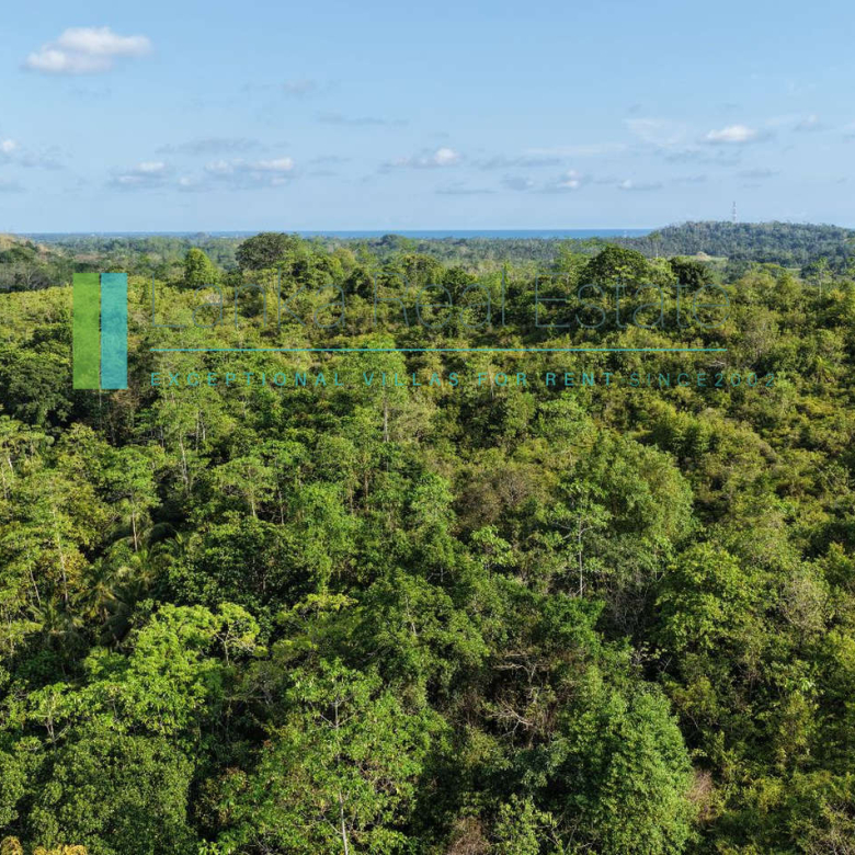 Twenty-two acres in Pilana near Galle