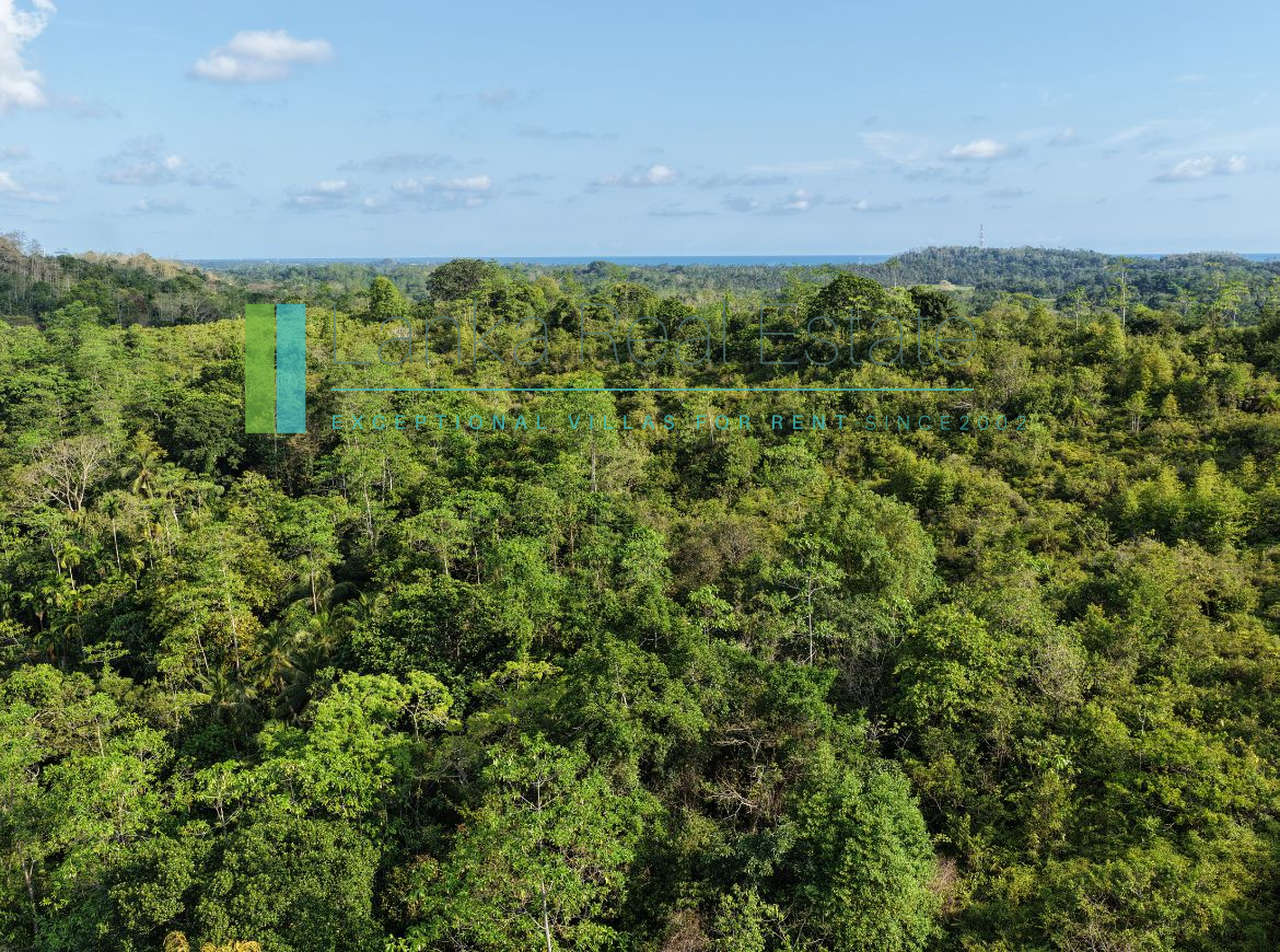 Twenty-two acres in Pilana near Galle