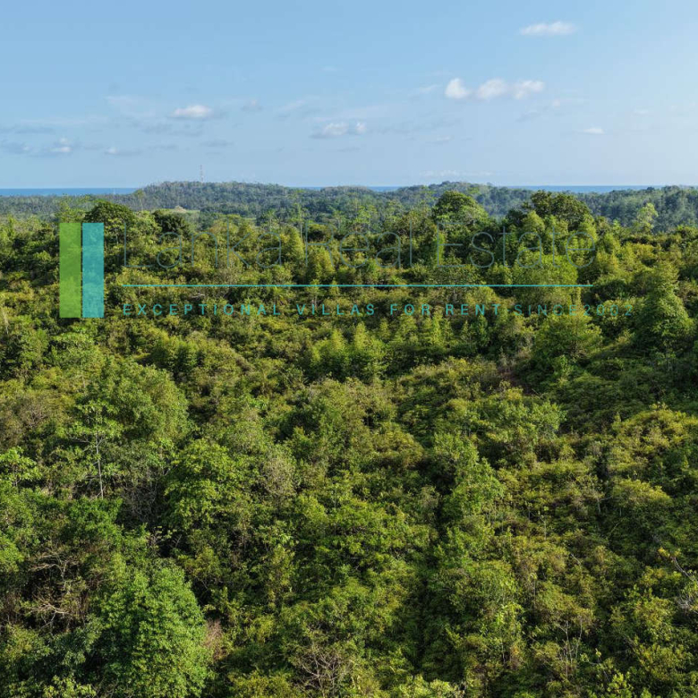 Twenty-two acres in Pilana near Galle