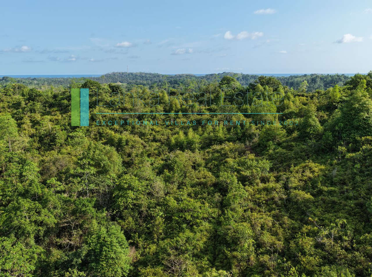 Twenty-two acres in Pilana near Galle