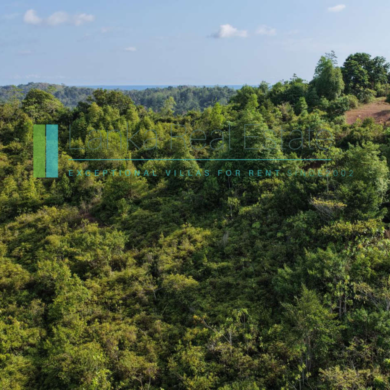 Twenty-two acres in Pilana near Galle