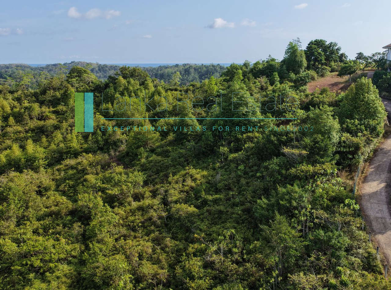 Twenty-two acres in Pilana near Galle