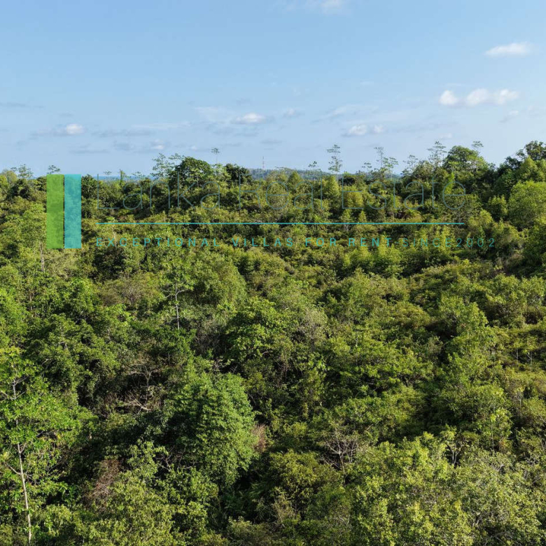 Twenty-two acres in Pilana near Galle