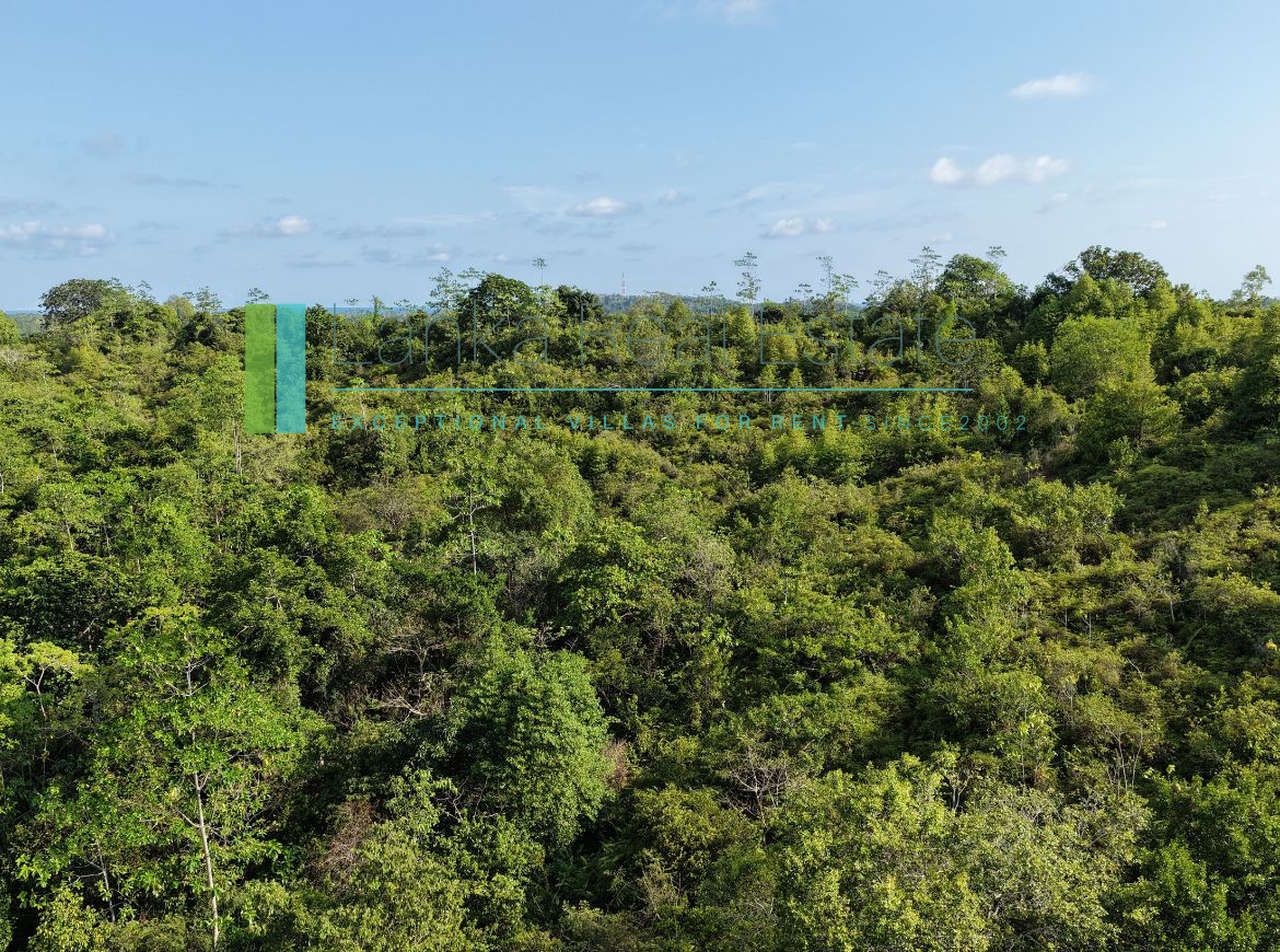 Twenty-two acres in Pilana near Galle