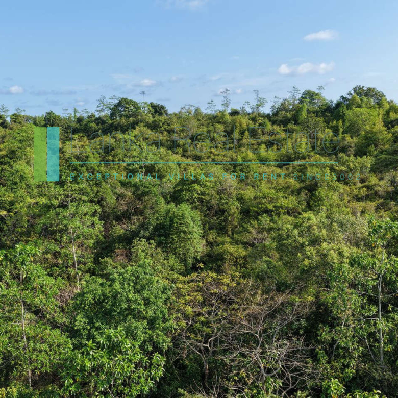 Twenty-two acres in Pilana near Galle