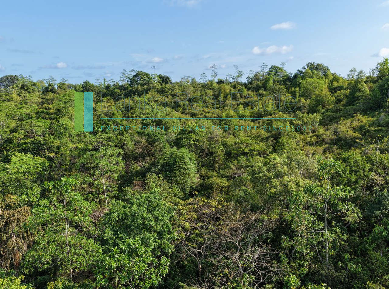 Twenty-two acres in Pilana near Galle