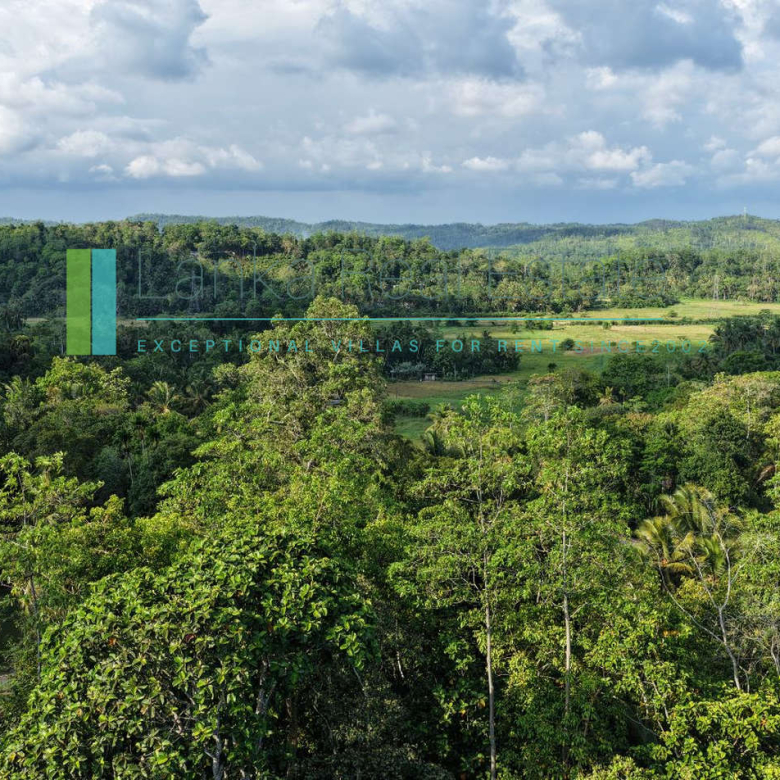 Twenty-two acres in Pilana near Galle