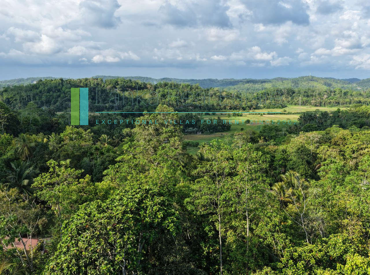 Twenty-two acres in Pilana near Galle