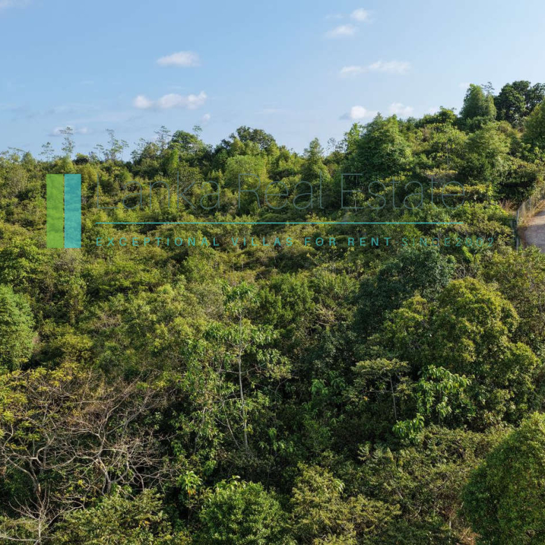 Twenty-two acres in Pilana near Galle