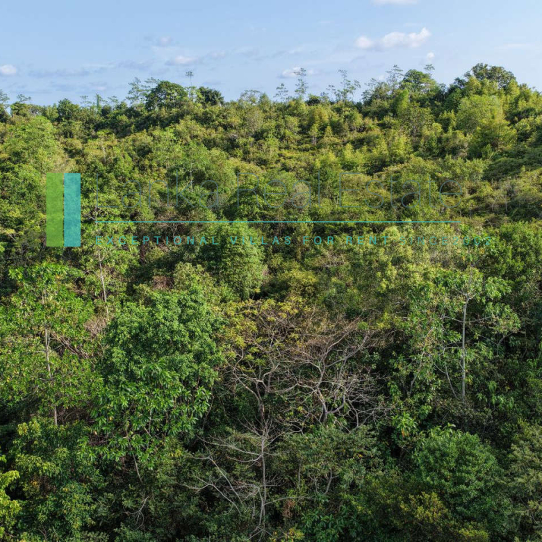 Twenty-two acres in Pilana near Galle