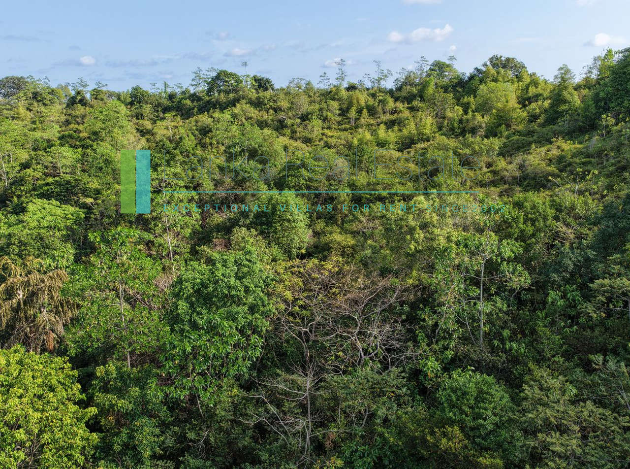 Twenty-two acres in Pilana near Galle