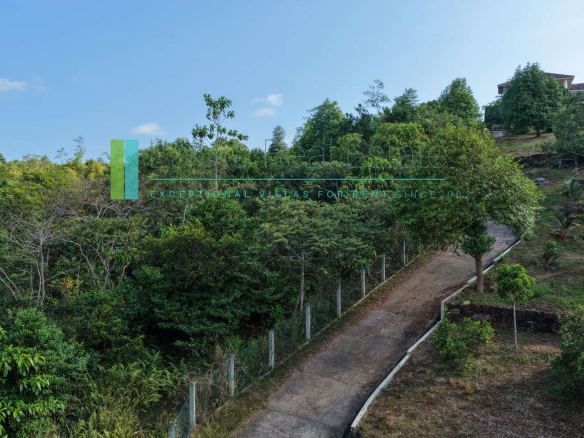 Twenty-two acres in Pilana near Galle