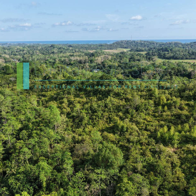 Twenty-two acres in Pilana near Galle