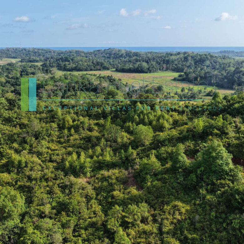 Twenty-two acres in Pilana near Galle