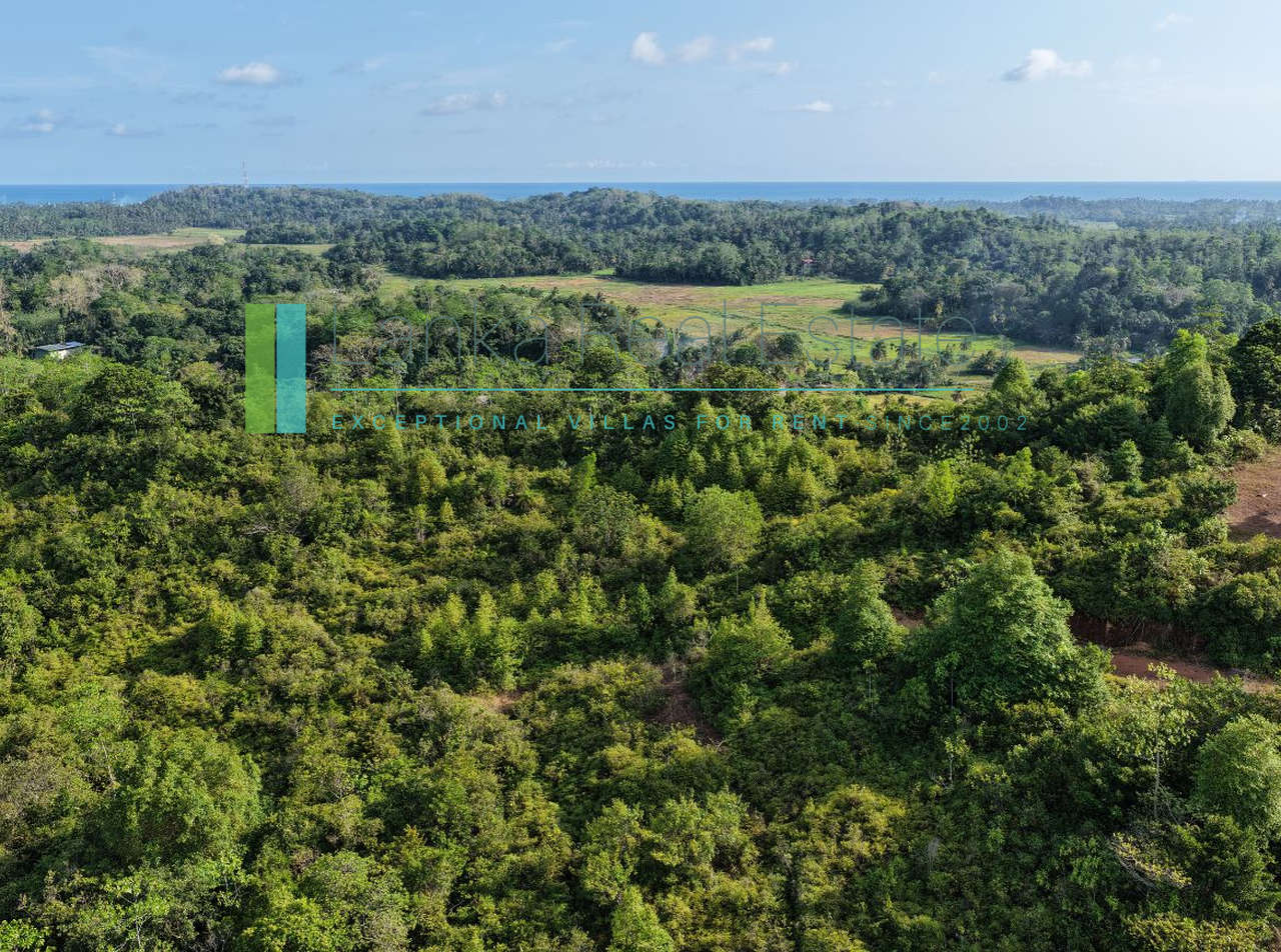 Twenty-two acres in Pilana near Galle