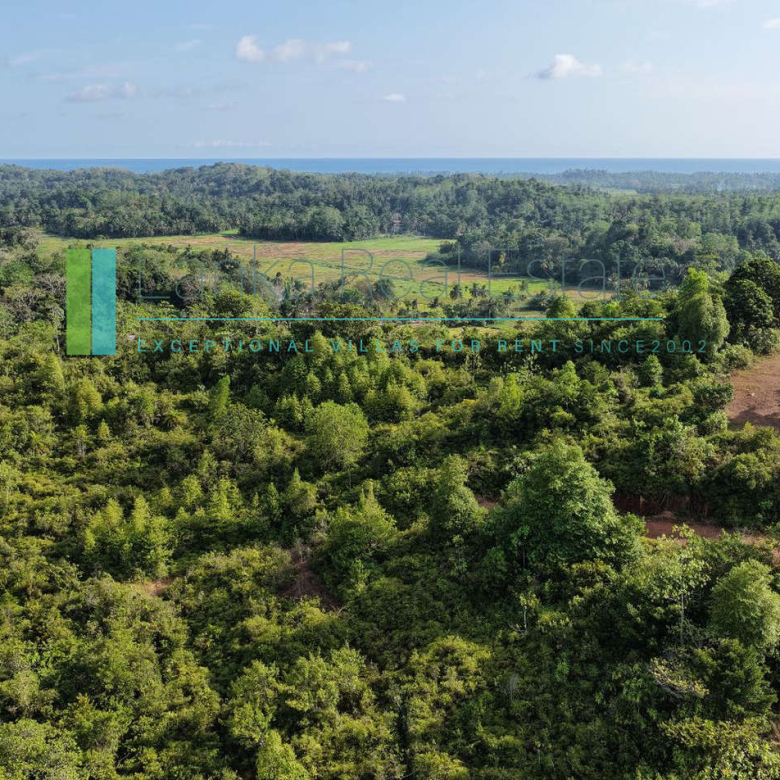 Twenty-two acres in Pilana near Galle