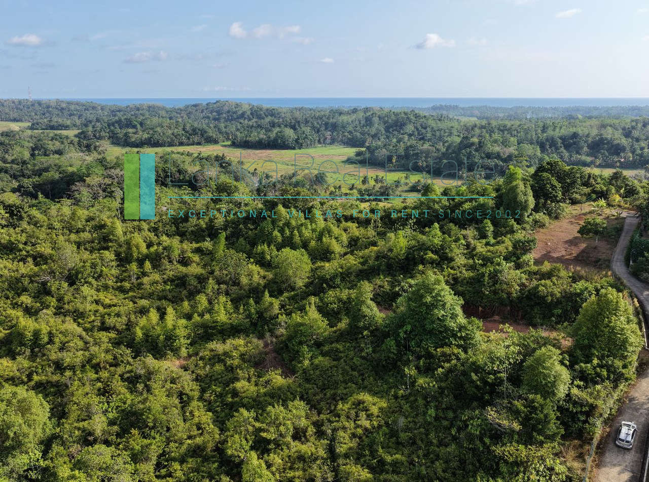 Twenty-two acres in Pilana near Galle