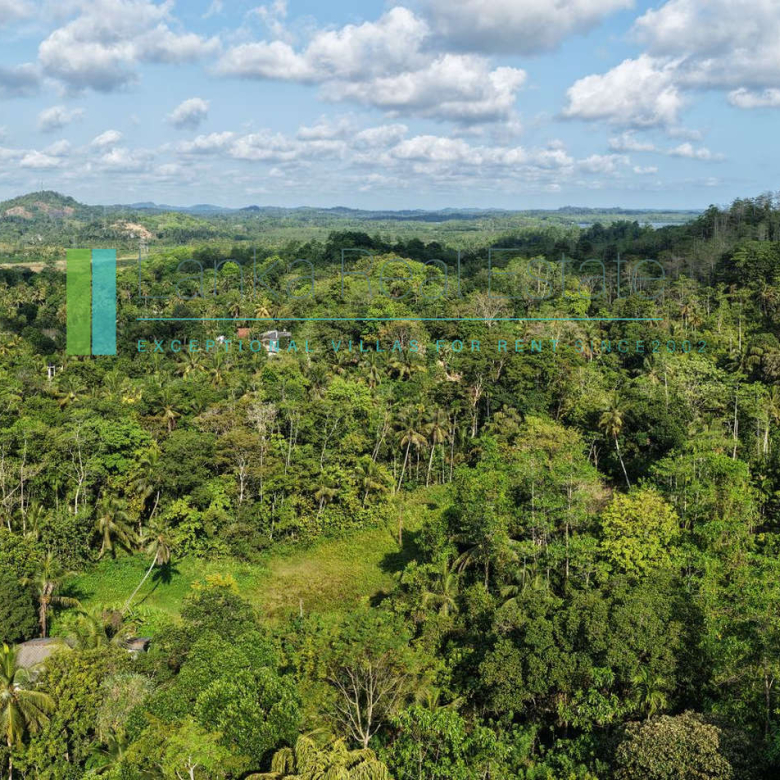 Twenty-two acres in Pilana near Galle