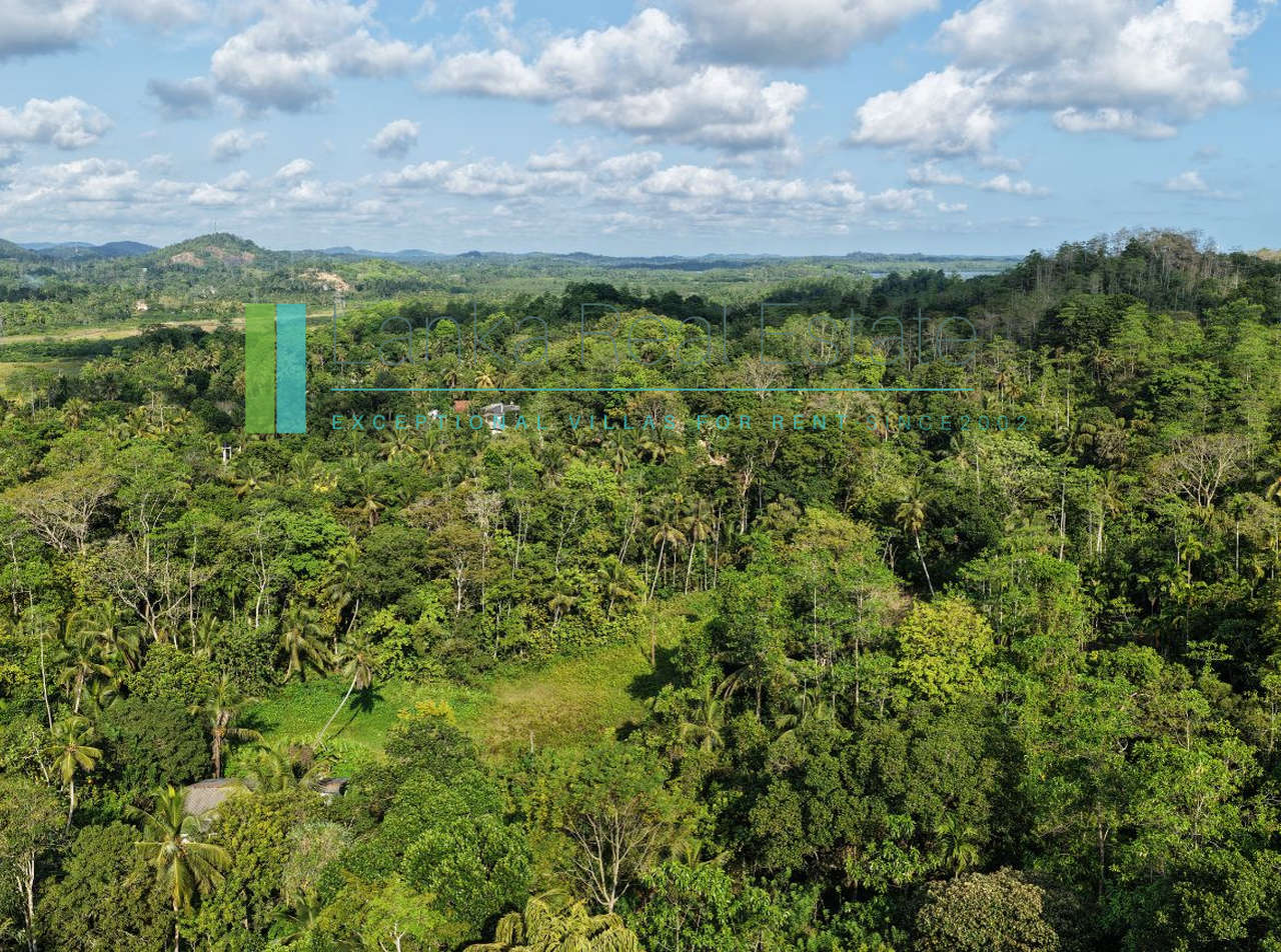 Twenty-two acres in Pilana near Galle