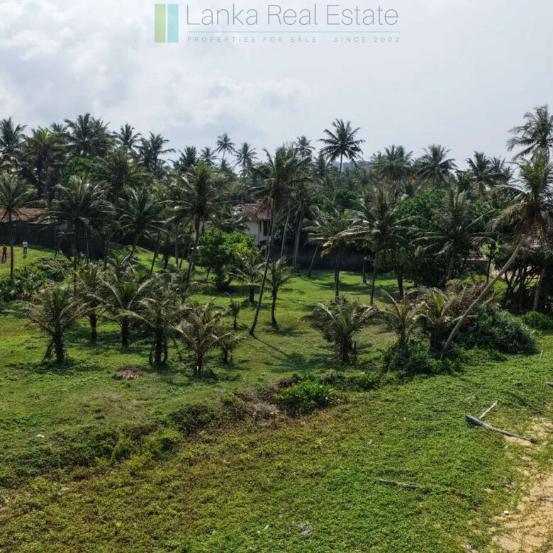 Beachfront development opportunity in Gintota
