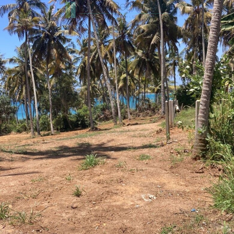 Ocean-view plot in Hiriketiya