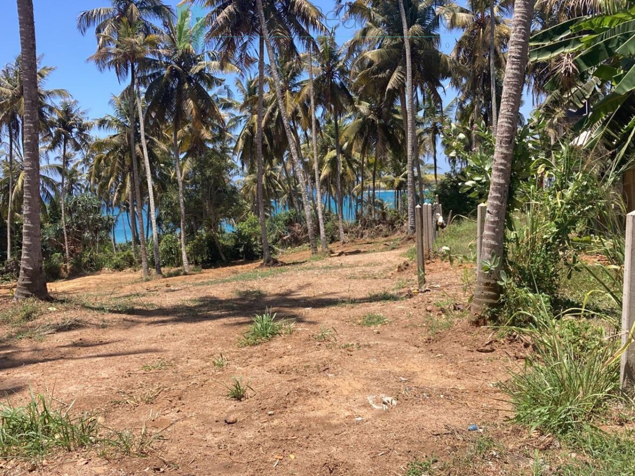 Ocean-view plot in Hiriketiya