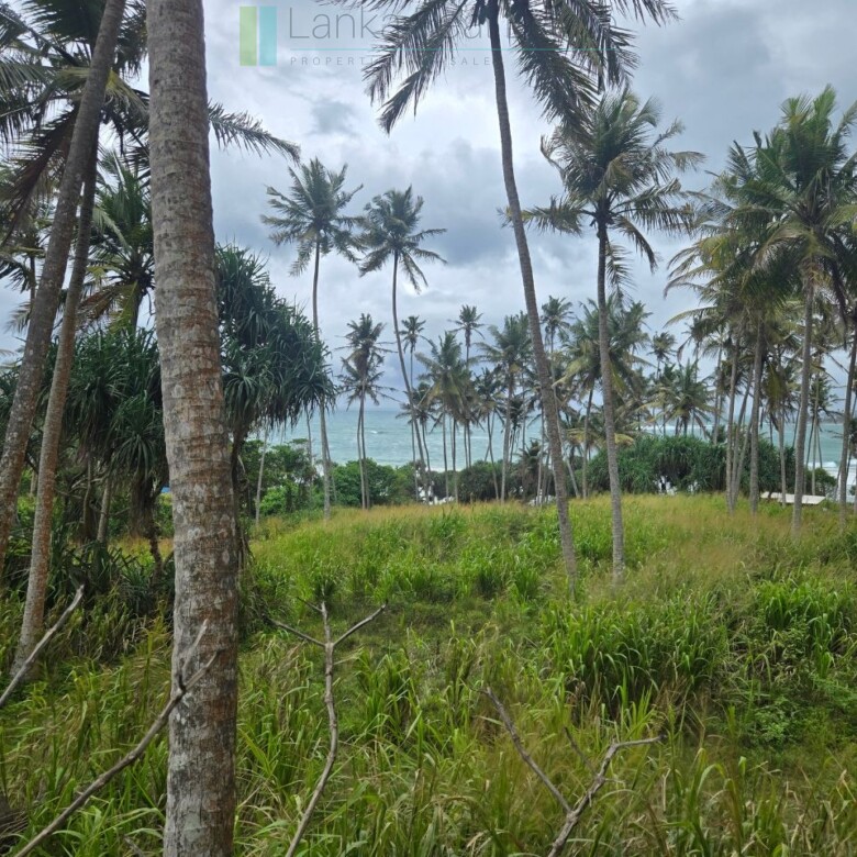 Ocean-view plot in Hiriketiya