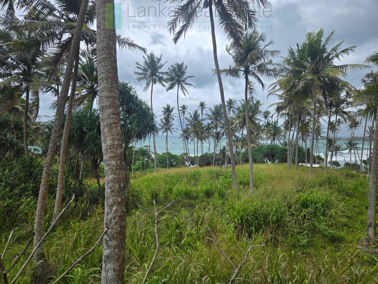 Ocean-view plot in Hiriketiya