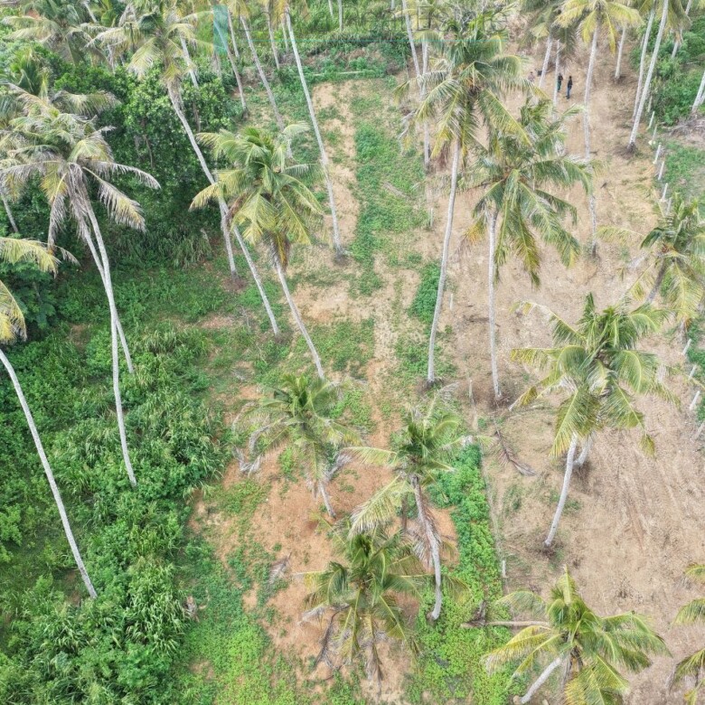 Ocean-view plot in Hiriketiya