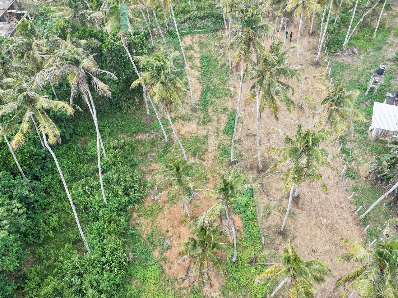 Ocean-view plot in Hiriketiya