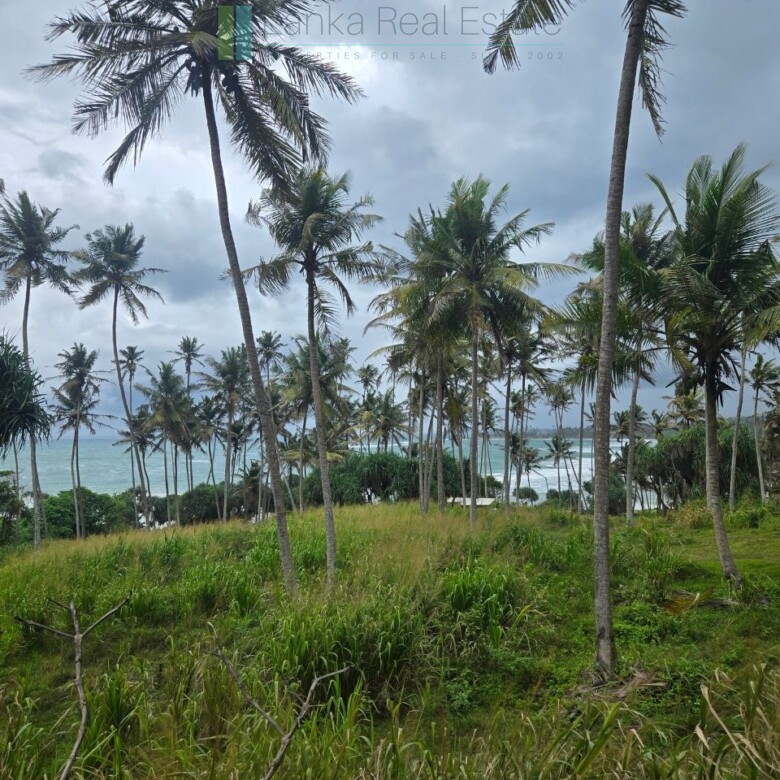 Ocean-view plot in Hiriketiya