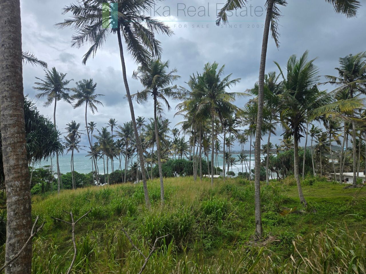 Ocean-view plot in Hiriketiya