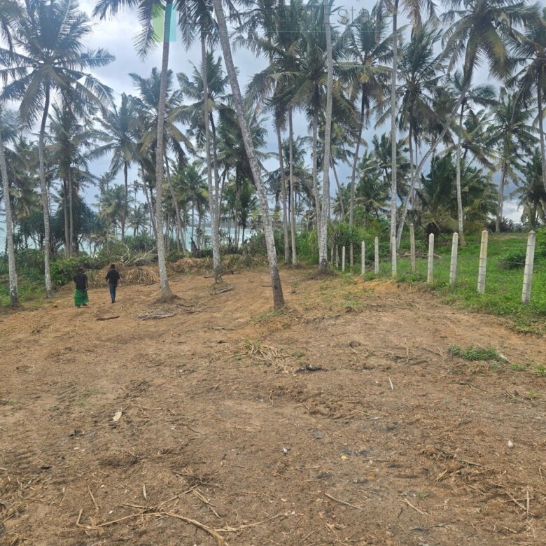 Ocean-view plot in Hiriketiya