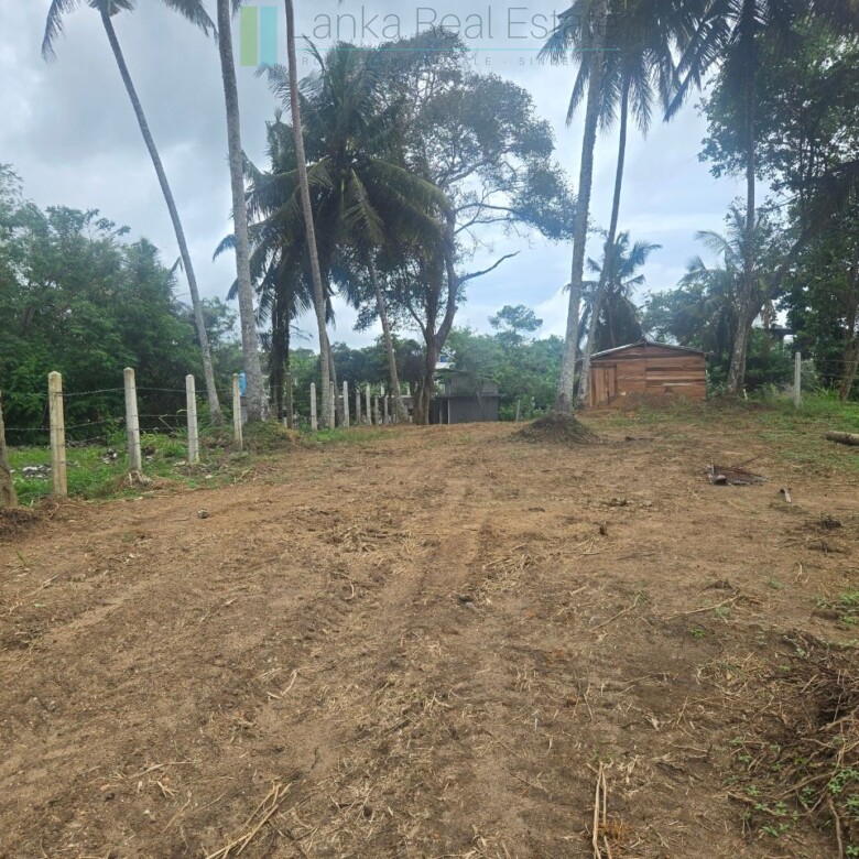 Ocean-view plot in Hiriketiya