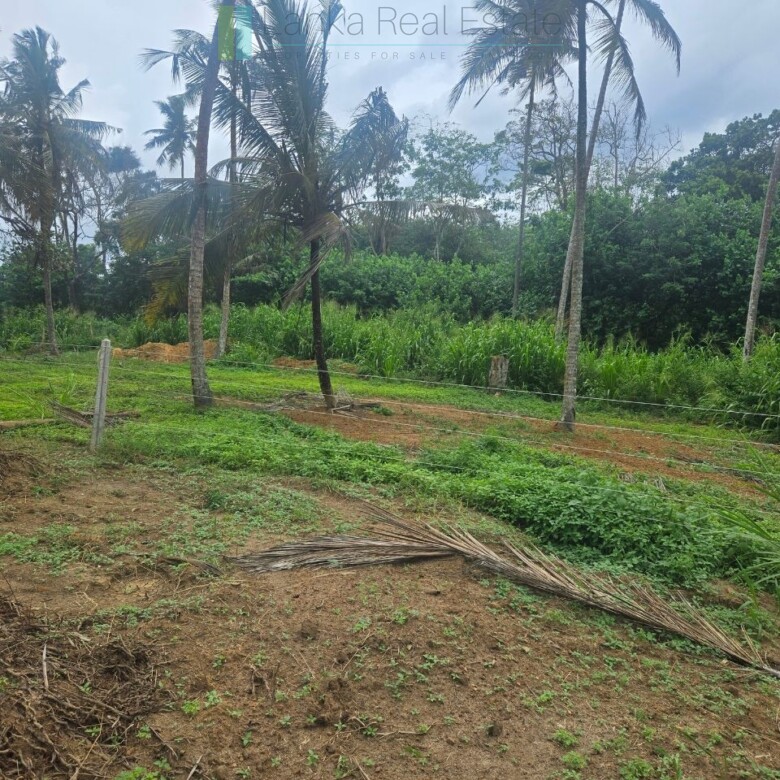 Ocean-view plot in Hiriketiya