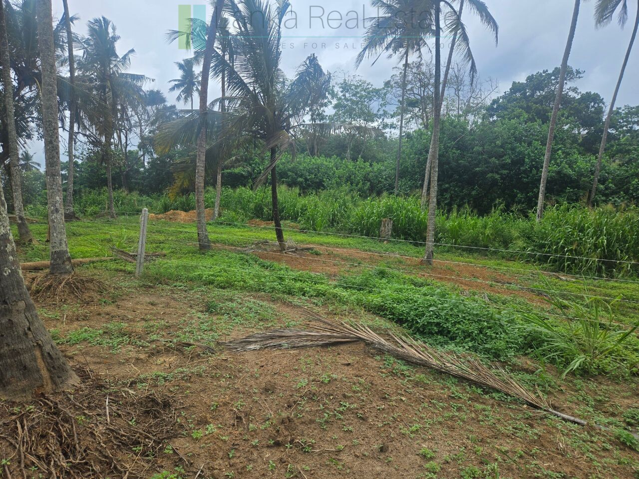 Ocean-view plot in Hiriketiya