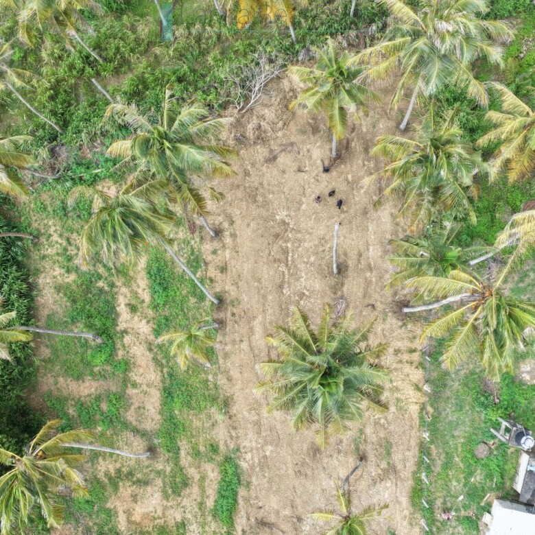 Ocean-view plot in Hiriketiya