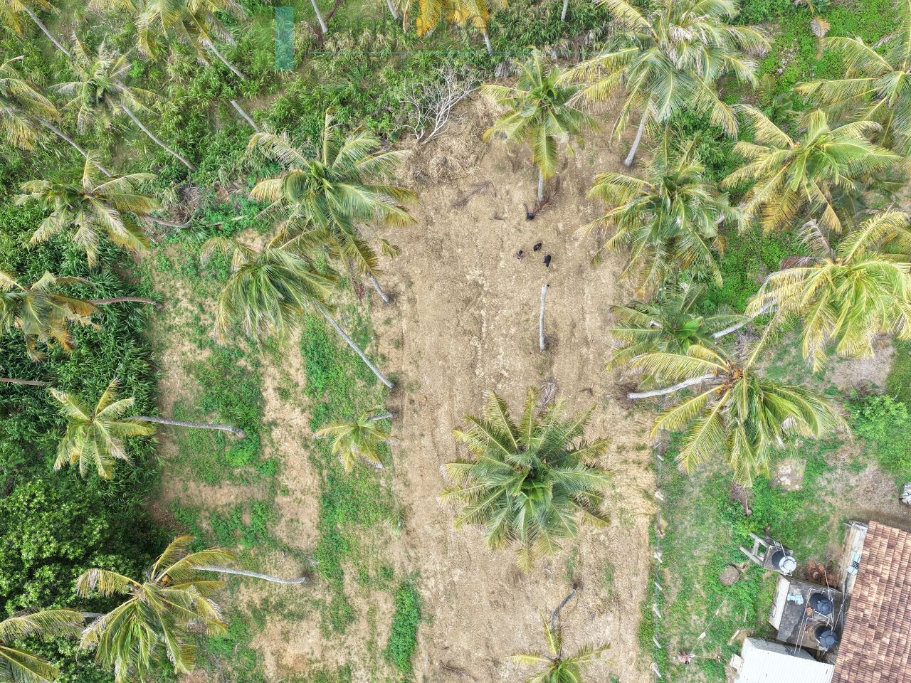 Ocean-view plot in Hiriketiya