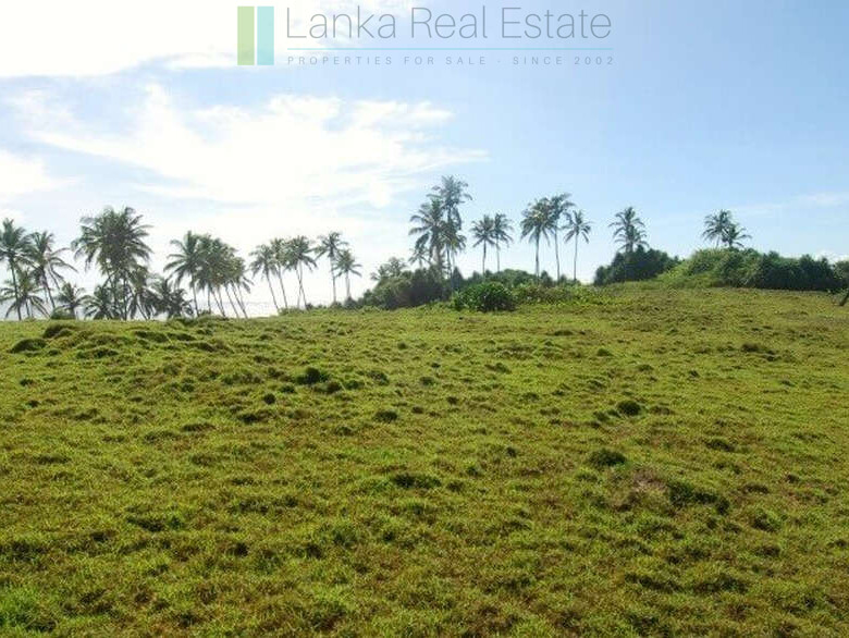 Blue Beach Island, Nilwella, Hiriketiya
