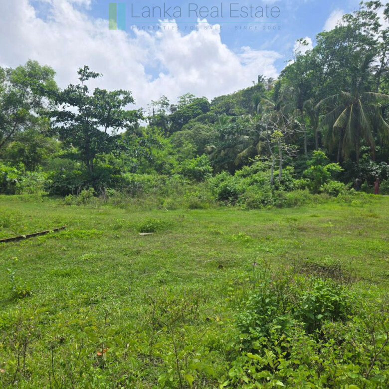 Large development plot twixt Mirissa and Weligama