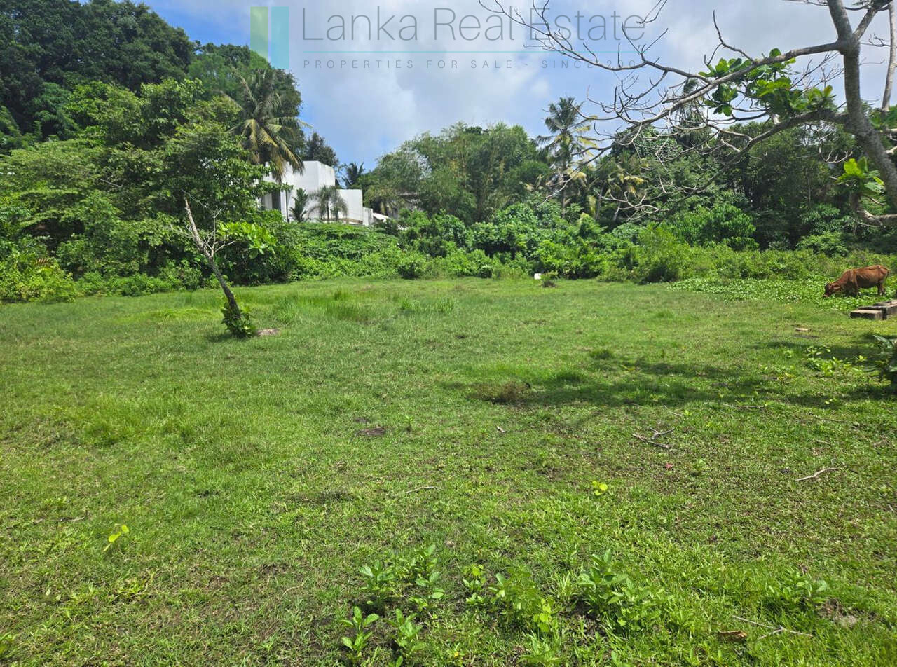 Large development plot twixt Mirissa and Weligama