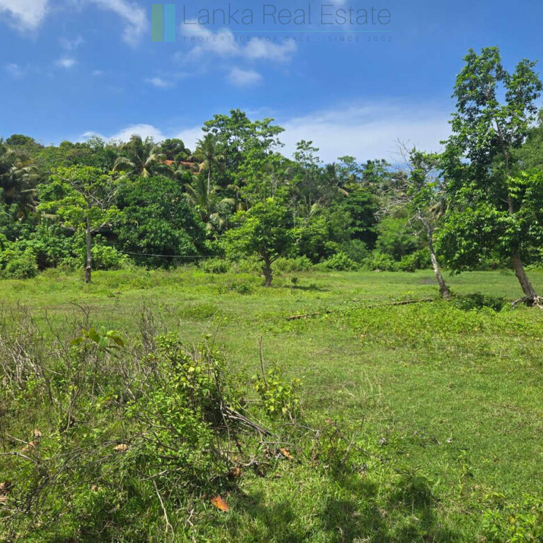Large development plot twixt Mirissa and Weligama